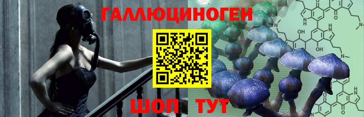 Псилоцибиновые грибы MAGIC MUSHROOMS  Вход с VPN  Саров 
